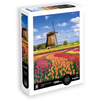 Calypto Puzzle 1000 elementów Pola Tulipanów - Holandia 7051