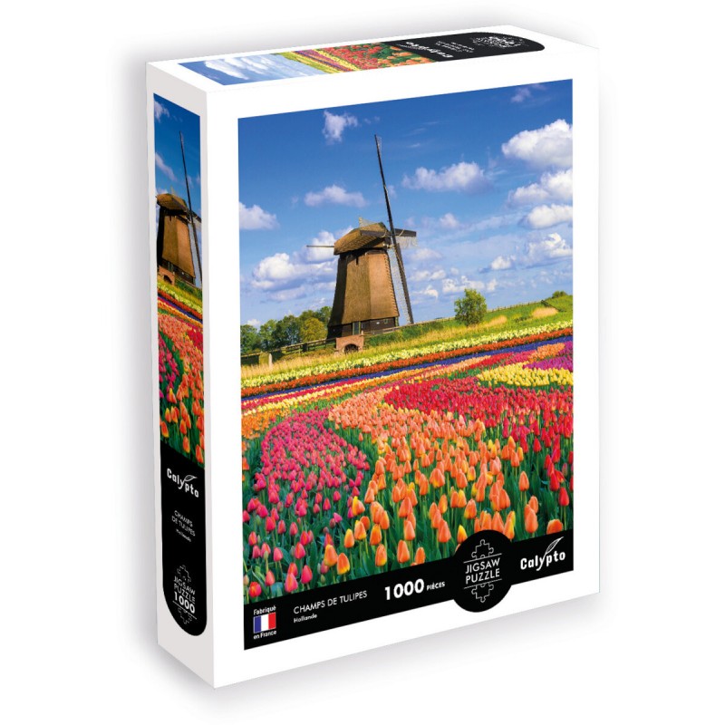 Calypto Puzzle 1000 elementów Pola Tulipanów - Holandia 7051