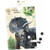 3 puzzle 200 Dinozaury z plakatami, Vilac