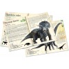 3 puzzle 200 Dinozaury z plakatami, Vilac