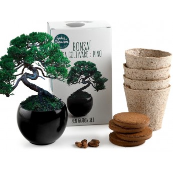 Bonsai do uprawy Zen Garden, Radis et Capucine