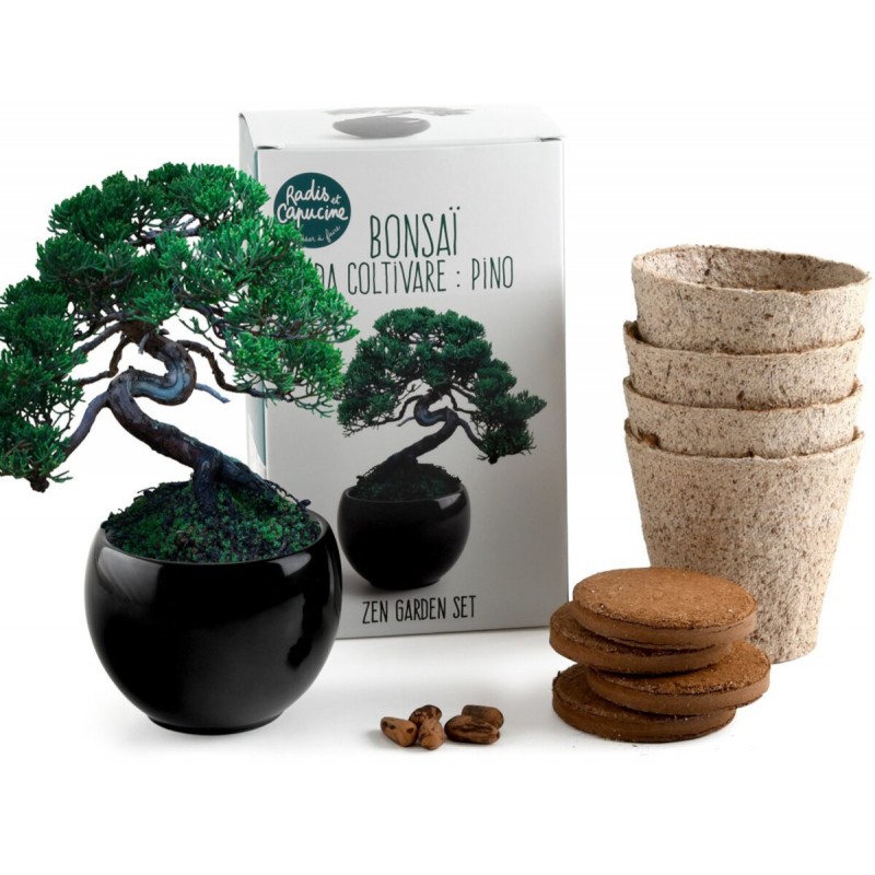 Bonsai do uprawy Zen Garden, Radis et Capucine Bonsai do uprawy Zen Garden, Radis et Capucine