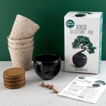 Bonsai do uprawy Zen Garden, Radis et Capucine