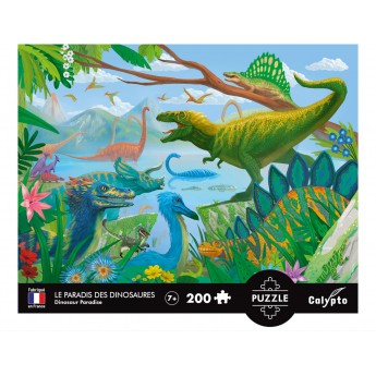 Calypto Puzzle 200...