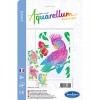 Aquarellum Junior Papugi plansze do malowania | Dadum
