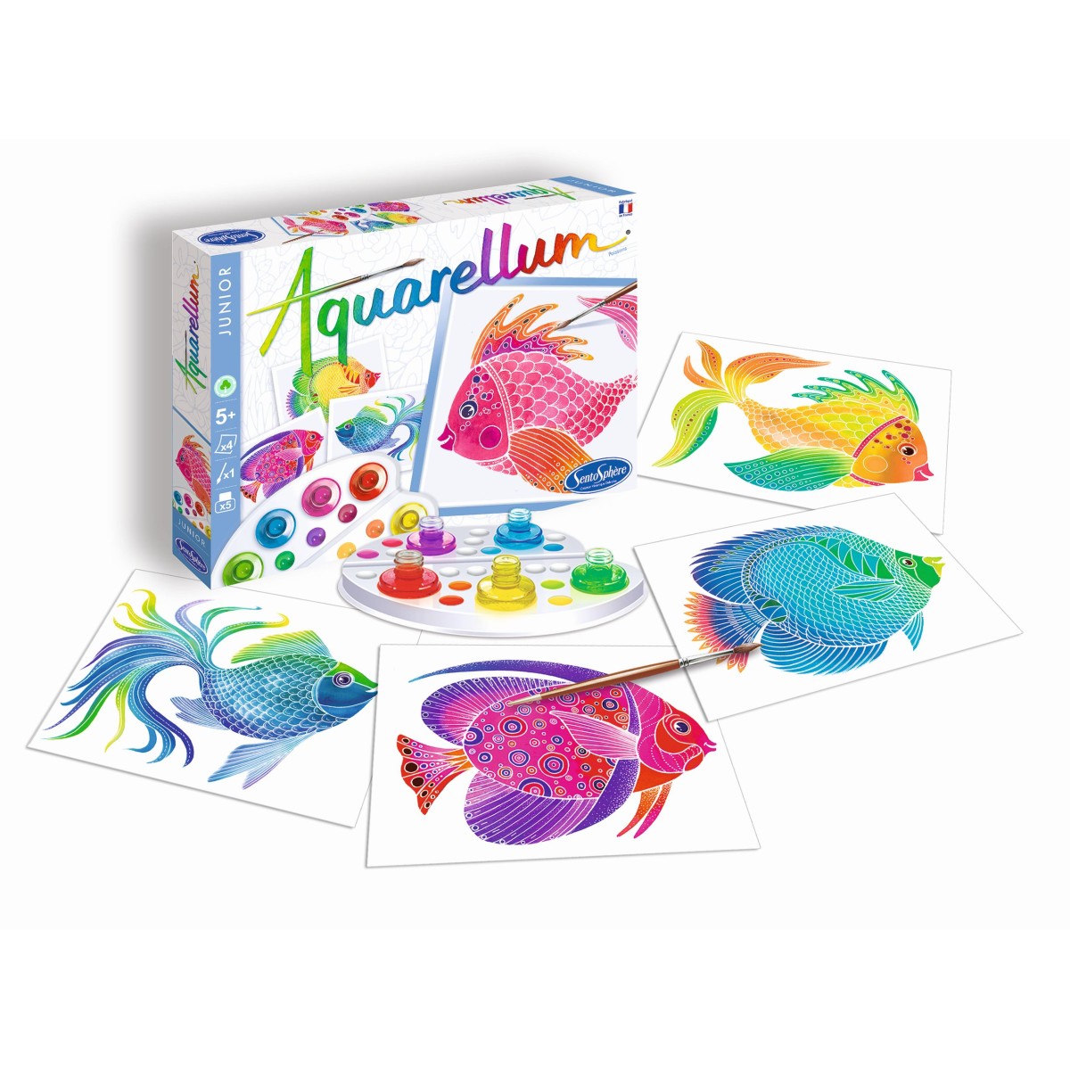 Aquarellum Ryby 4 plansze do malowania i farby, SentoSphere