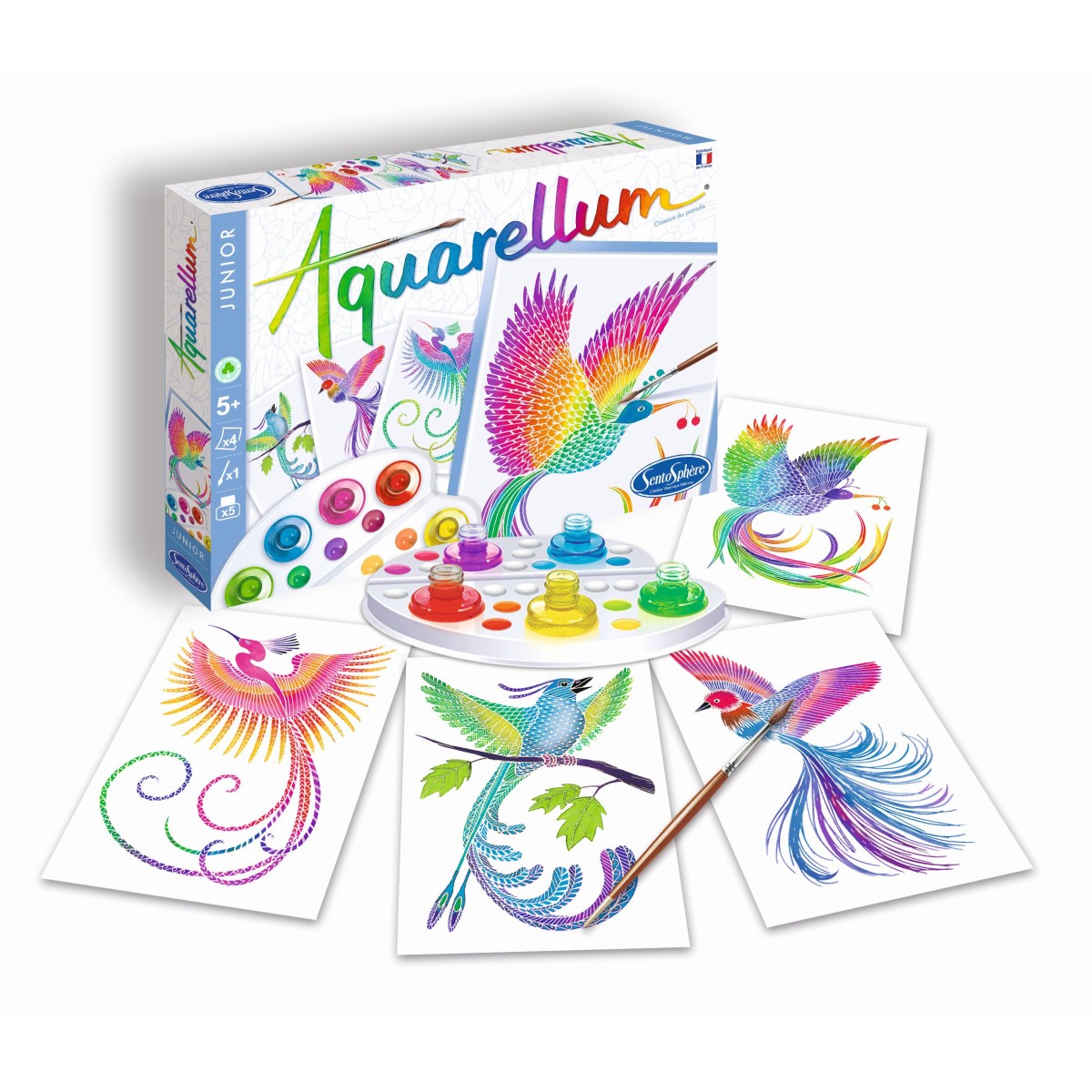 Aquarellum Rajskie Ptaki 4 plansze do malowania i farby, SentoSphere
