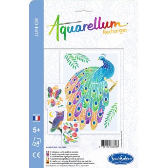 W Parku plansze do Aquarellum Junior, SentoSphere