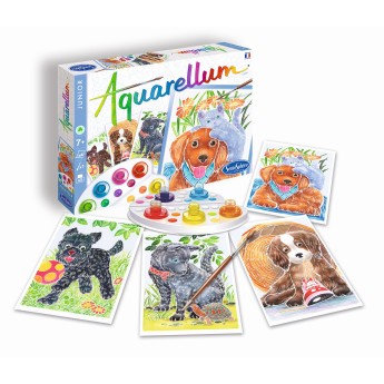 Aquarellum Pieski 4 obrazy do malowania i farby, SentoSphere