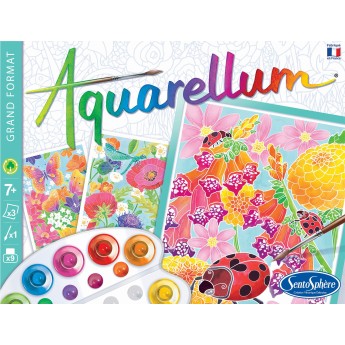 Aquarellum Kwiaty 3 obrazy A4 i farby 6391