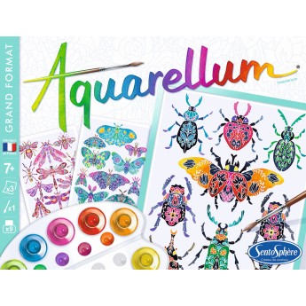 Aquarellum Insektarium 3 obrazy A4 i farby 6402