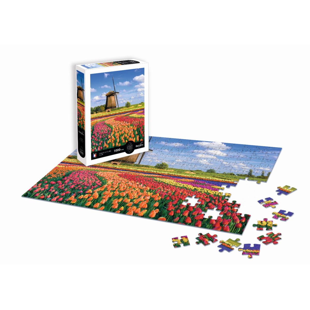 Puzzle 1000 Pola Tulipanów - Holandia, Calypto