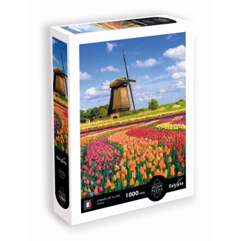 Calypto Puzzle 1000 elementów Pola Tulipanów - Holandia 7051