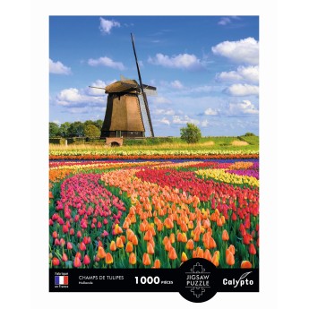 Calypto Puzzle 1000 elementów Pola Tulipanów - Holandia 7051