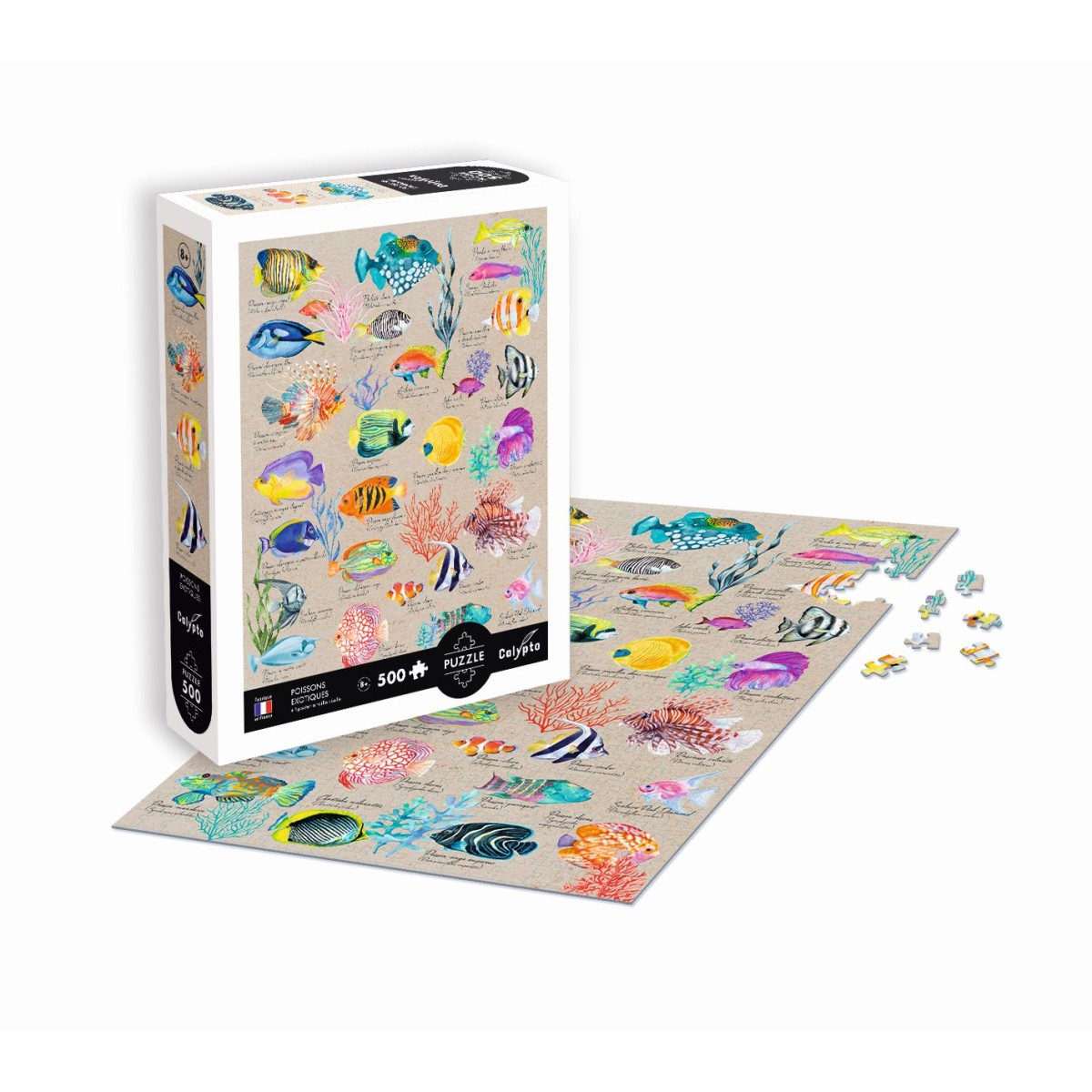 Puzzle 500 elementów Egzotyczne Ryby, Calypto