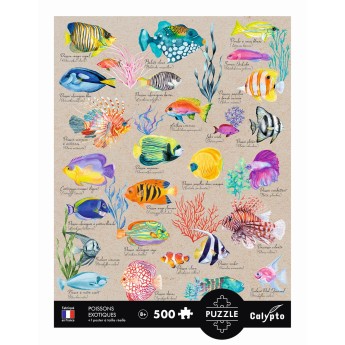 Calypto Puzzle 500 elementów Egzotyczne Ryby 7314
