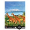 Puzzle 500 elementów XL Żyrafy, Calypto