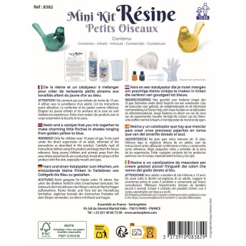 mini kit resine recharge petits oiseaux
