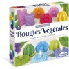BOUGIES VEGETALES